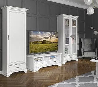 Шкаф Кентаки REG1D1S белый фото 4