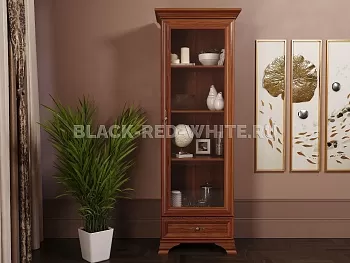 Шкаф с витриной Кентаки REG1W1S каштан фото 2